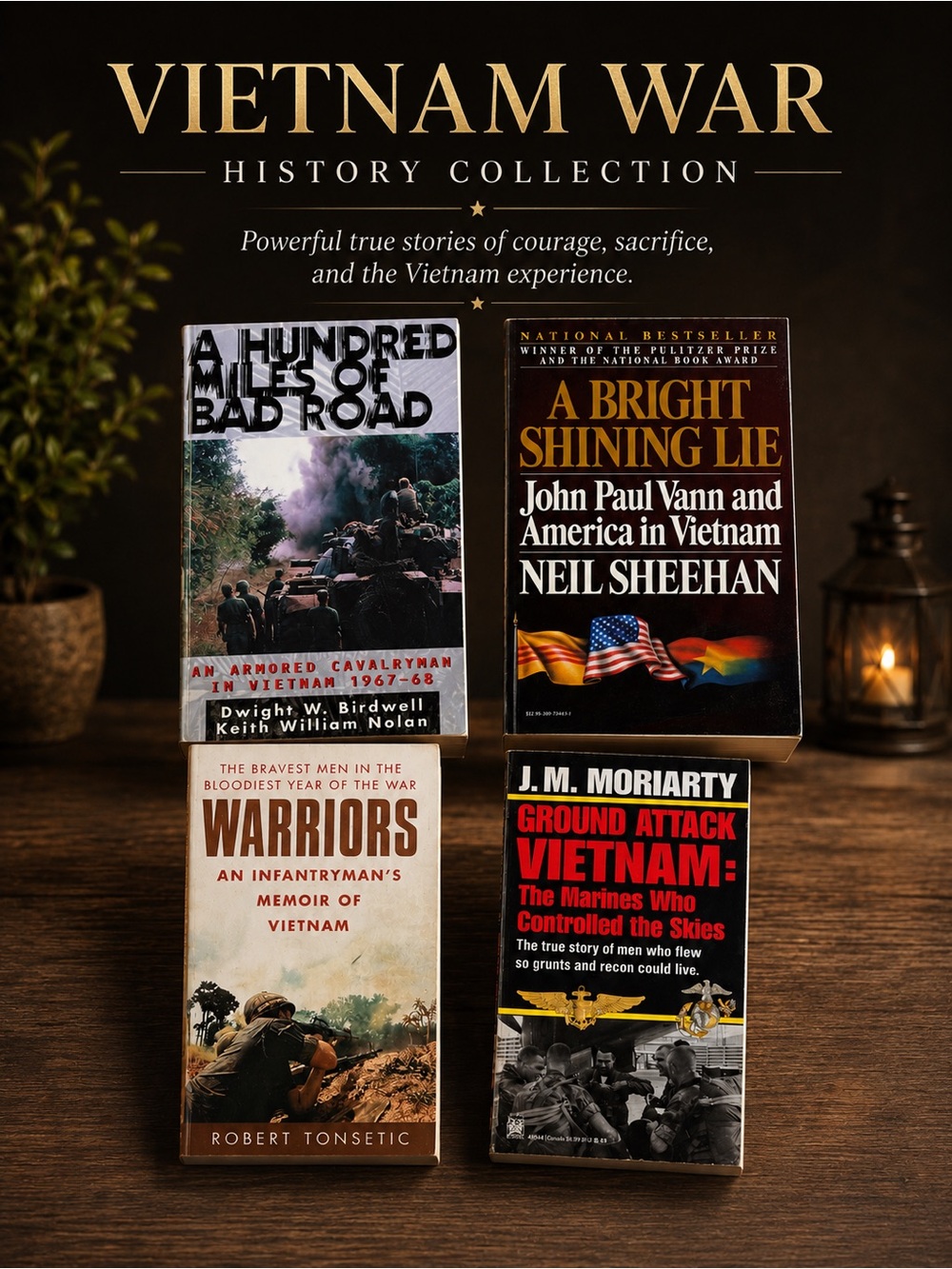 Book Bundle: Set of 4 Vietnam Books